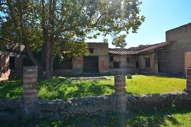 El patio ajardinado de la Casa del Atrio de Mosaico bajo un plátano